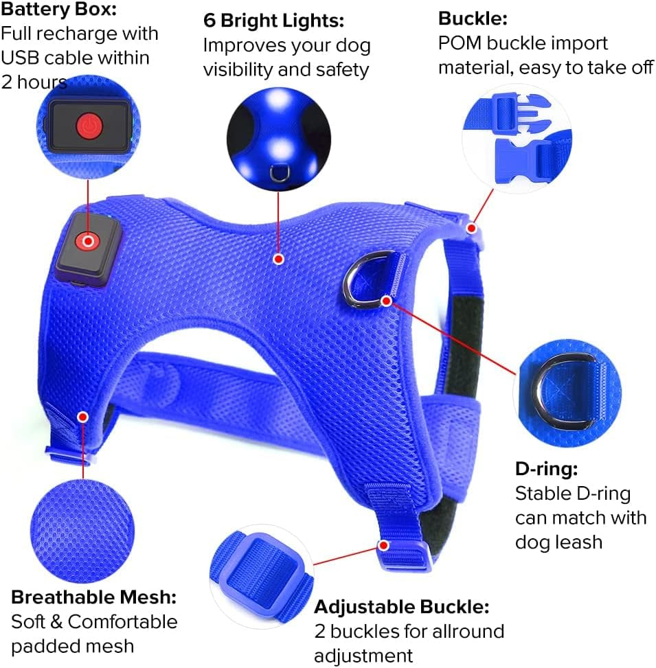 LED Dog Harness, Lighted up USB Rechargeable Pet Harness, Illuminated Reflective Glowing Dog Vest Adjustable Soft Padded No-Pull Suit for Small, Medium, Large Dogs (Blue, L)